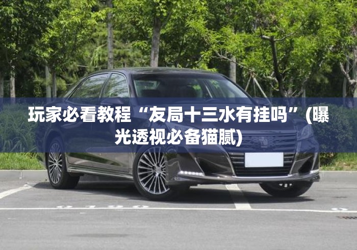 玩家必看教程“友局十三水有挂吗	”(曝光透视必备猫腻)