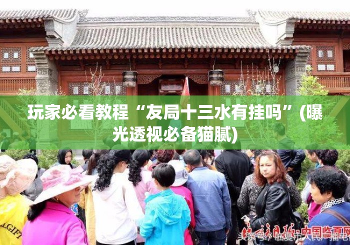 玩家必看教程“友局十三水有挂吗	”(曝光透视必备猫腻)