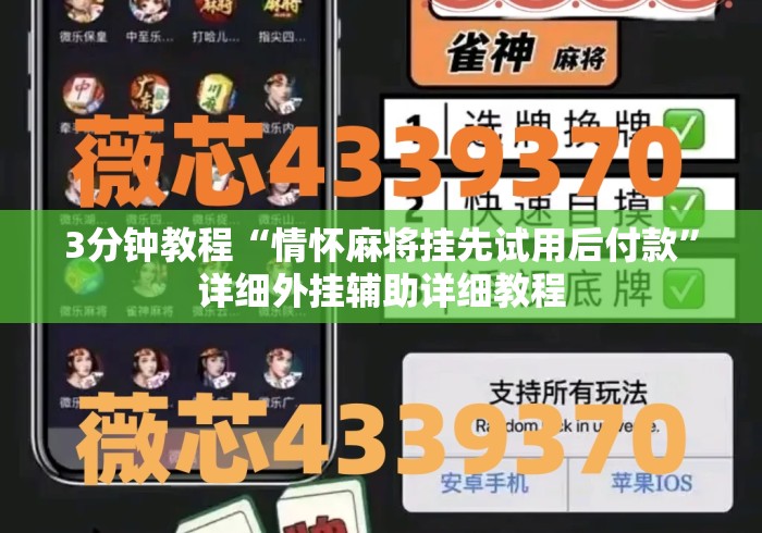 3分钟教程“情怀麻将挂先试用后付款”详细外挂辅助详细教程