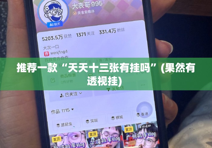 推荐一款“天天十三张有挂吗”(果然有透视挂) 