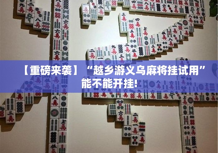 【重磅来袭】“越乡游义乌麻将挂试用”能不能开挂!