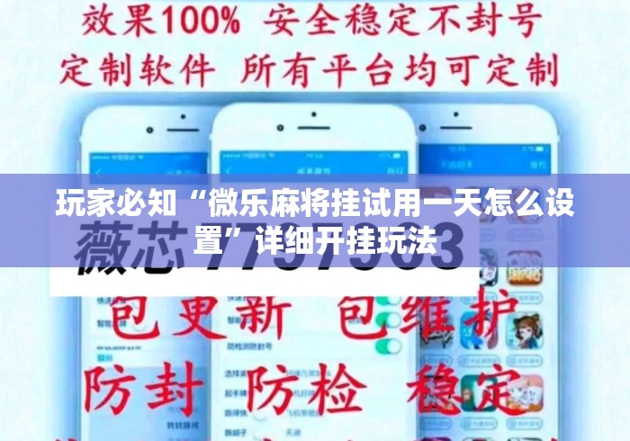 玩家必知“微乐麻将挂试用一天怎么设置”详细开挂玩法