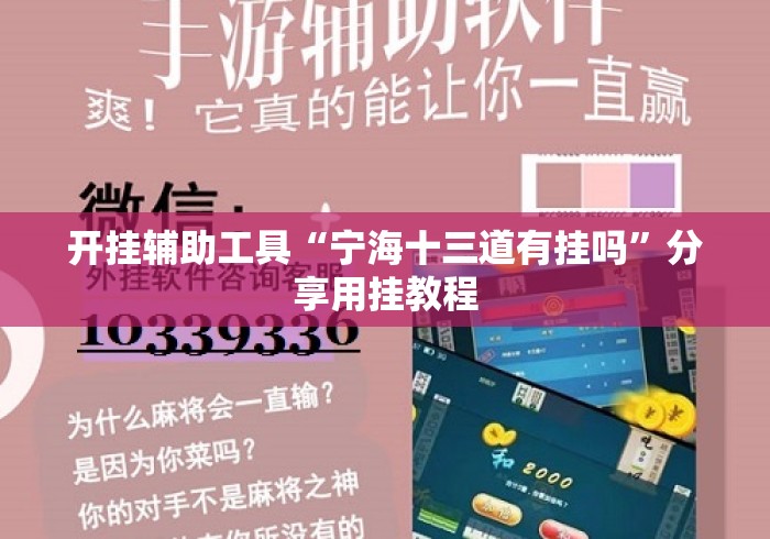 开挂辅助工具“宁海十三道有挂吗”分享用挂教程