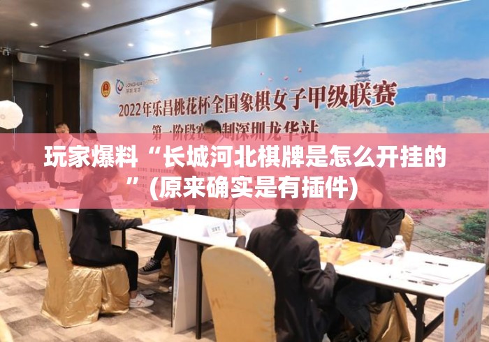 玩家爆料“长城河北棋牌是怎么开挂的	”(原来确实是有插件) 