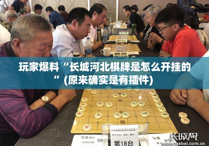 玩家爆料“长城河北棋牌是怎么开挂的”(原来确实是有插件) 