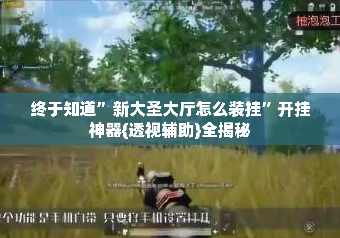 终于知道”新大圣大厅怎么装挂”开挂神器{透视辅助}全揭秘