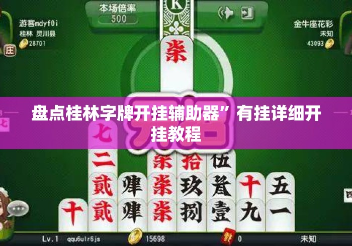 盘点桂林字牌开挂辅助器	”有挂详细开挂教程