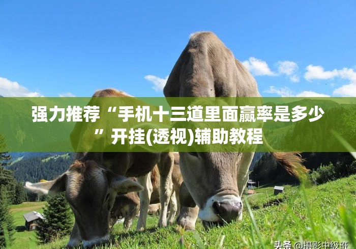 强力推荐“手机十三道里面赢率是多少”开挂(透视)辅助教程