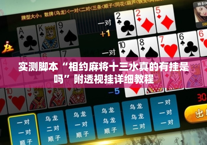 实测脚本“相约麻将十三水真的有挂是吗”附透视挂详细教程
