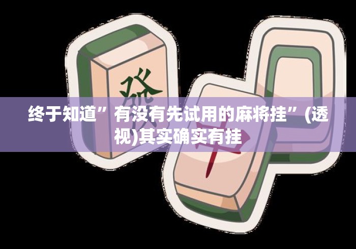 终于知道	”有没有先试用的麻将挂”(透视)其实确实有挂