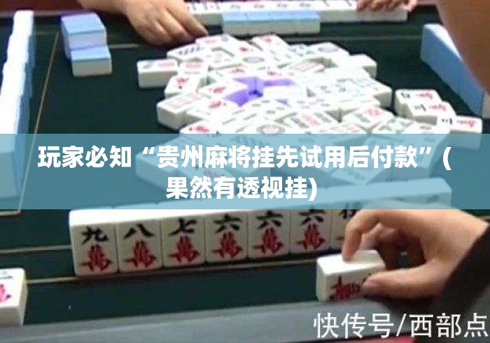 玩家必知“贵州麻将挂先试用后付款”(果然有透视挂) 