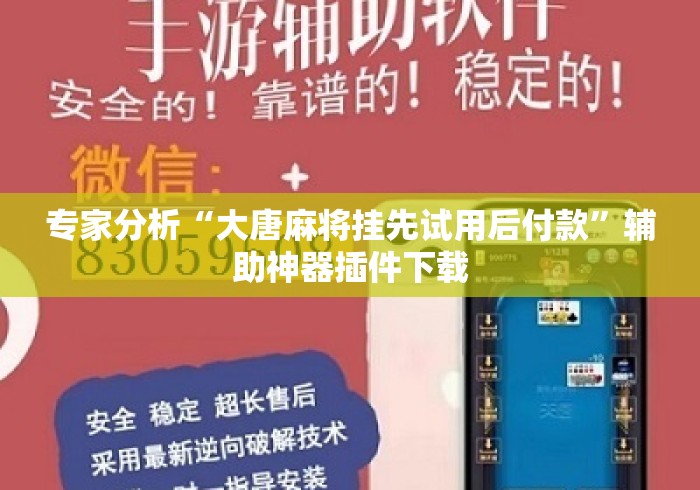 专家分析“大唐麻将挂先试用后付款”辅助神器插件下载