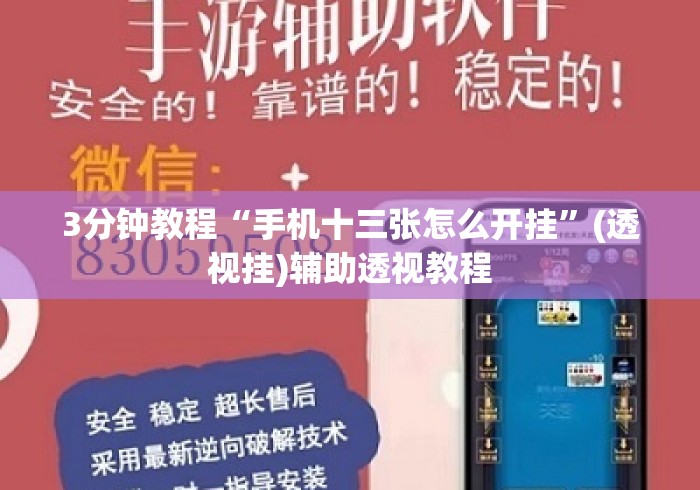 3分钟教程“手机十三张怎么开挂	”(透视挂)辅助透视教程