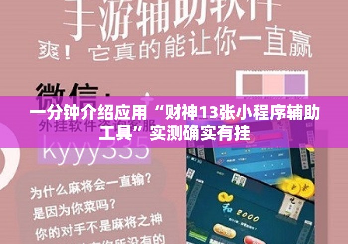 一分钟介绍应用“财神13张小程序辅助工具”实测确实有挂
