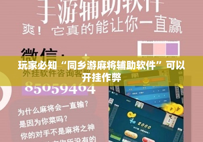 玩家必知“同乡游麻将辅助软件”可以开挂作弊
