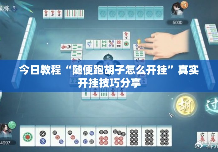 今日教程“随便跑胡子怎么开挂	”真实开挂技巧分享