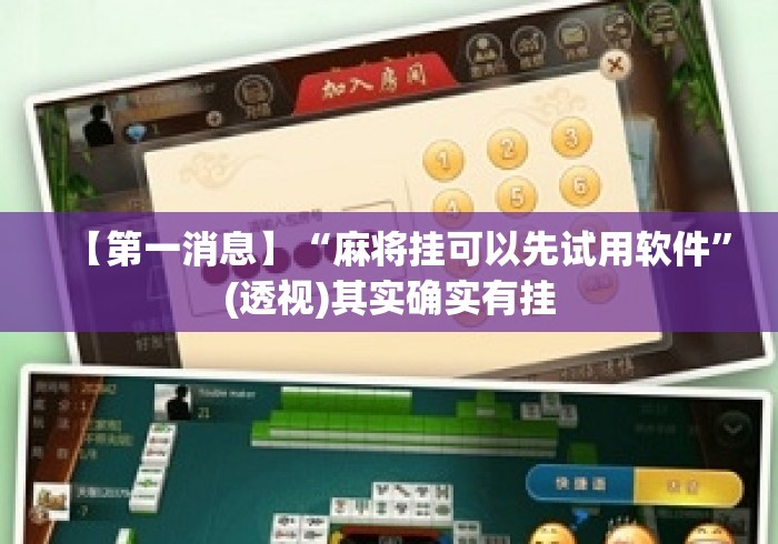 【第一消息】“麻将挂可以先试用软件”(透视)其实确实有挂