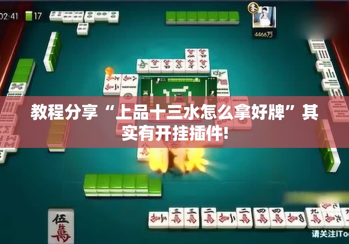 教程分享“上品十三水怎么拿好牌	”其实有开挂插件!