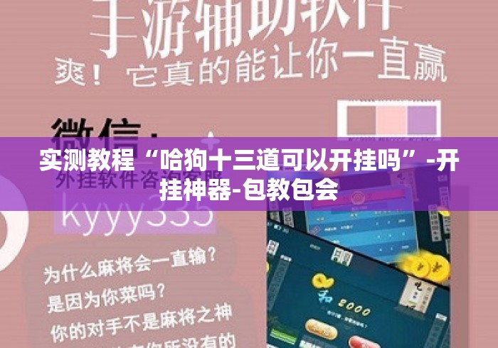 实测教程“哈狗十三道可以开挂吗”-开挂神器-包教包会