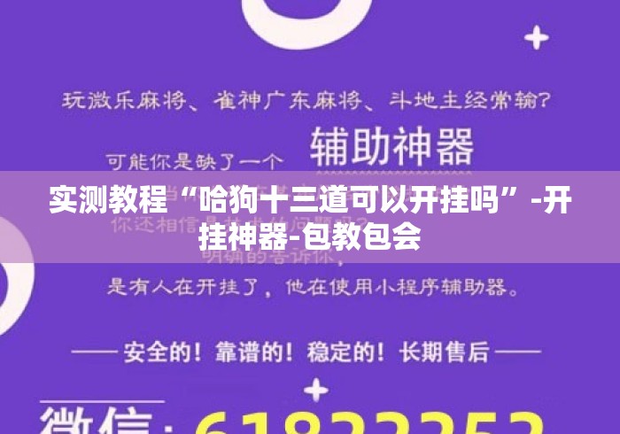 实测教程“哈狗十三道可以开挂吗”-开挂神器-包教包会