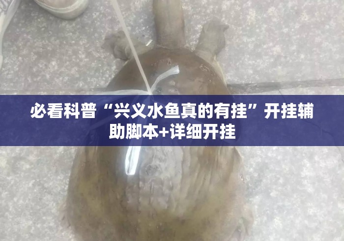 必看科普“兴义水鱼真的有挂”开挂辅助脚本+详细开挂