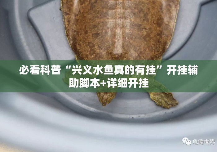 必看科普“兴义水鱼真的有挂	”开挂辅助脚本+详细开挂
