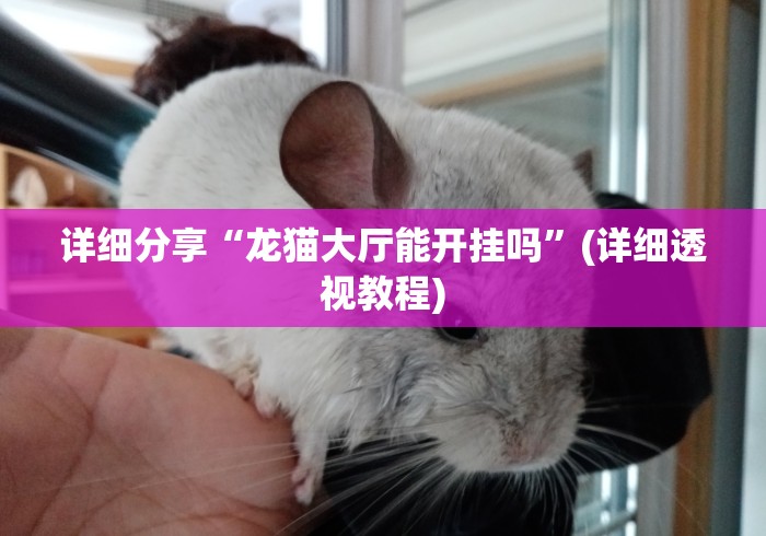 详细分享“龙猫大厅能开挂吗”(详细透视教程)