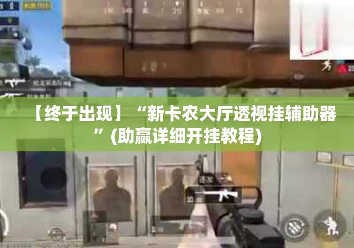 【终于出现】“新卡农大厅透视挂辅助器”(助赢详细开挂教程)