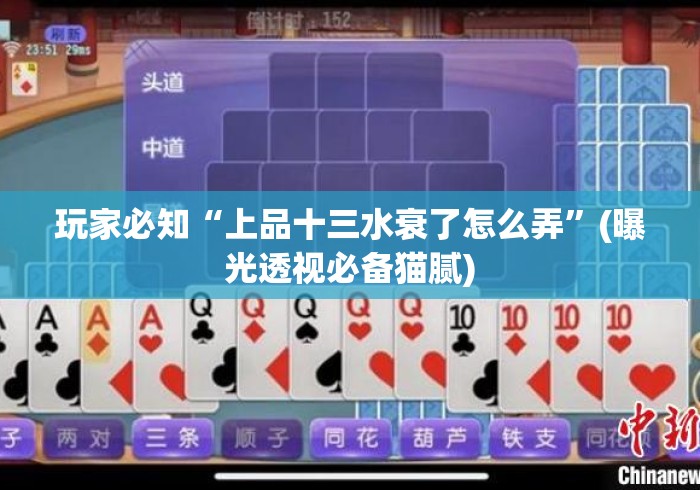 玩家必知“上品十三水衰了怎么弄”(曝光透视必备猫腻)