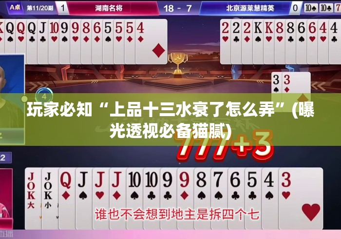 玩家必知“上品十三水衰了怎么弄”(曝光透视必备猫腻)