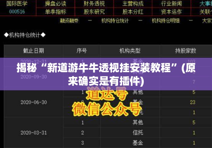 揭秘“新道游牛牛透视挂安装教程”(原来确实是有插件)