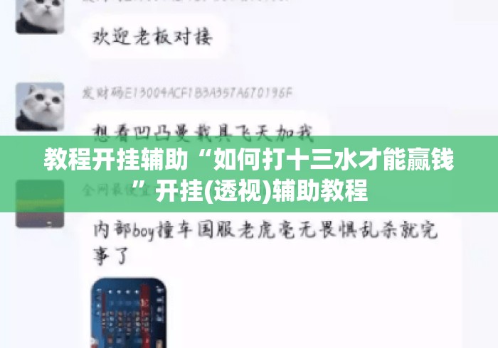 教程开挂辅助“如何打十三水才能赢钱”开挂(透视)辅助教程