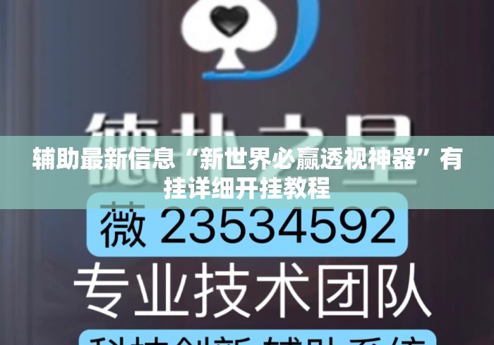 辅助最新信息“新世界必赢透视神器”有挂详细开挂教程
