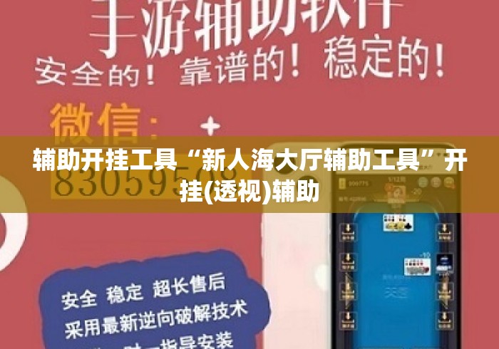 辅助开挂工具“新人海大厅辅助工具	”开挂(透视)辅助