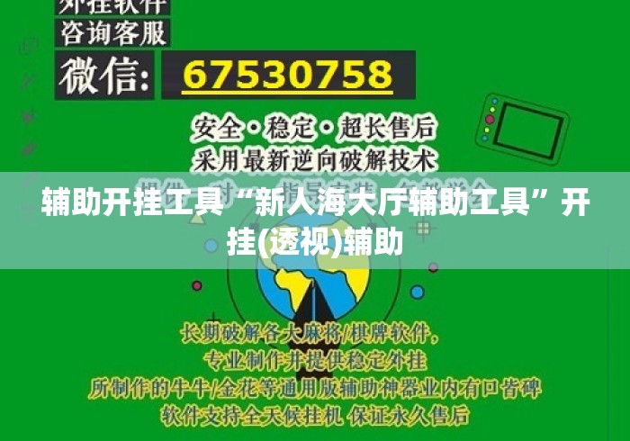 辅助开挂工具“新人海大厅辅助工具”开挂(透视)辅助