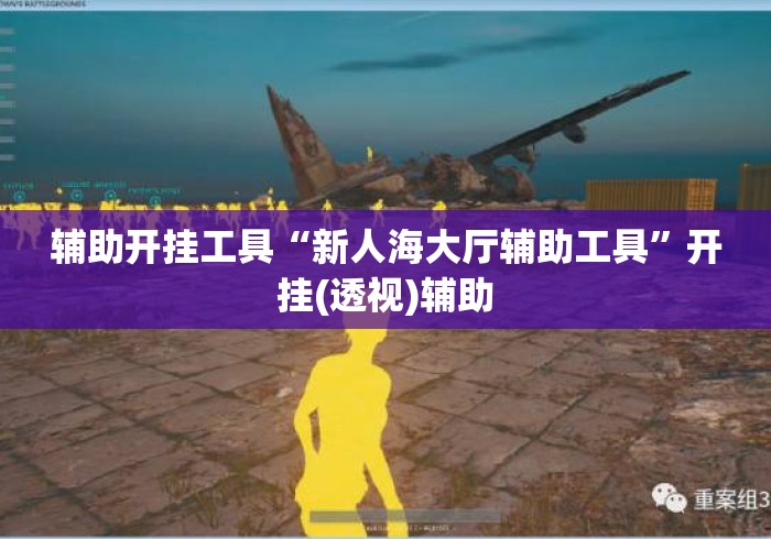 辅助开挂工具“新人海大厅辅助工具”开挂(透视)辅助