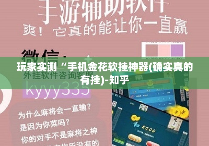 玩家实测“手机金花软挂神器(确实真的有挂)-知乎