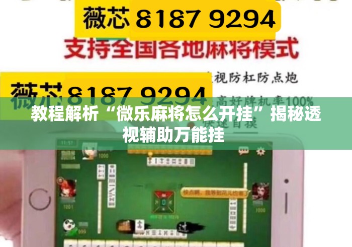 教程解析“微乐麻将怎么开挂”揭秘透视辅助万能挂 