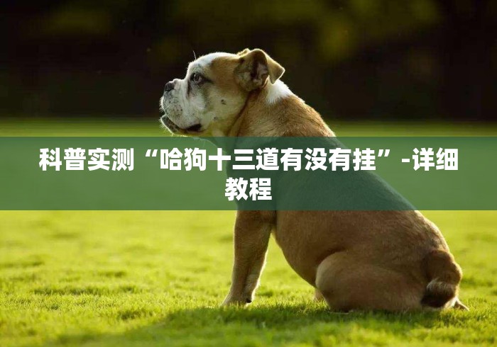 科普实测“哈狗十三道有没有挂	”-详细教程