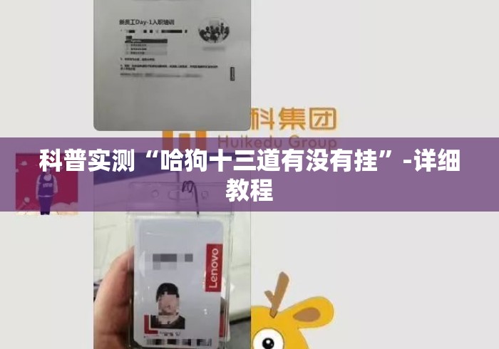 科普实测“哈狗十三道有没有挂”-详细教程