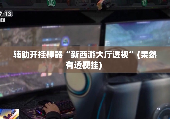 辅助开挂神器“新西游大厅透视”(果然有透视挂) 