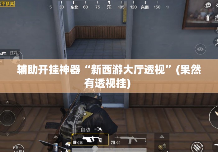 辅助开挂神器“新西游大厅透视”(果然有透视挂) 