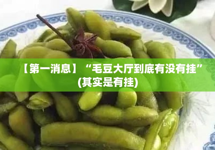 【第一消息】“毛豆大厅到底有没有挂”(其实是有挂)