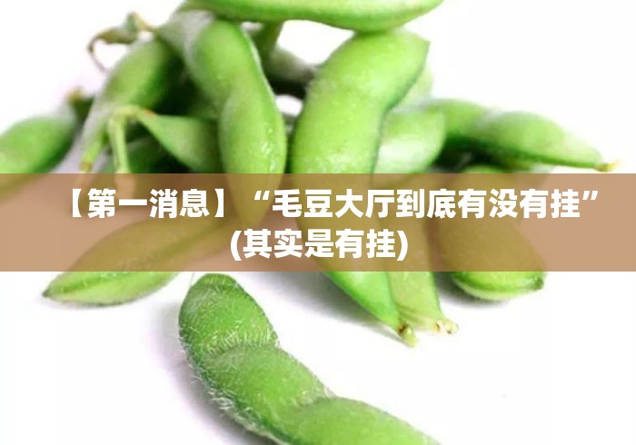 【第一消息】“毛豆大厅到底有没有挂”(其实是有挂)