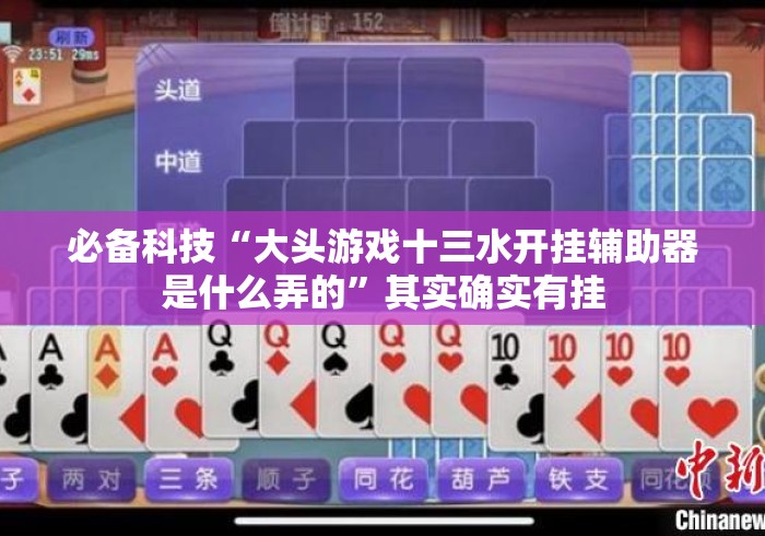 必备科技“大头游戏十三水开挂辅助器是什么弄的	”其实确实有挂