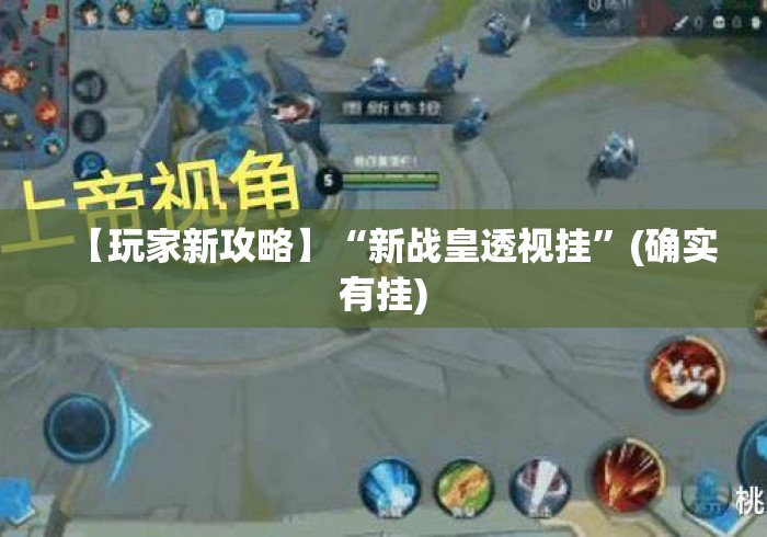 【玩家新攻略】“新战皇透视挂	”(确实有挂)