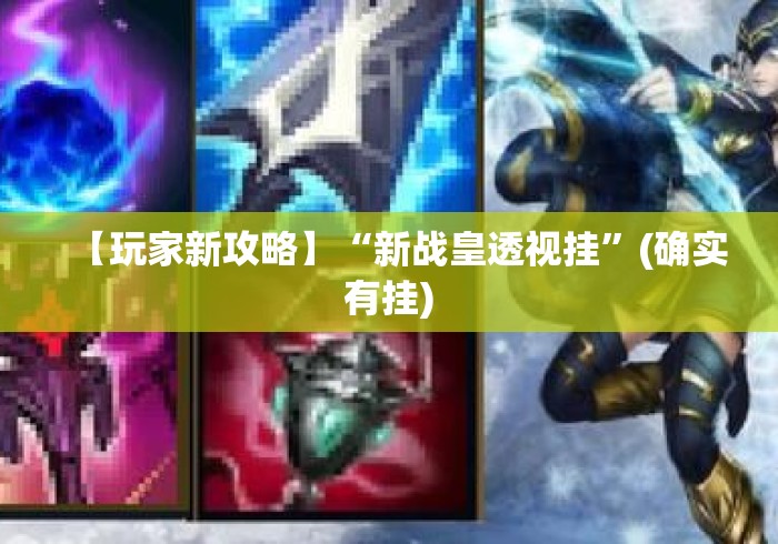 【玩家新攻略】“新战皇透视挂”(确实有挂)