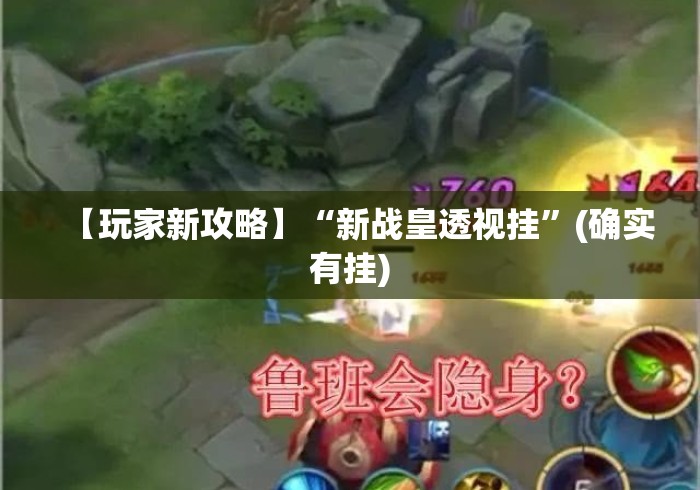【玩家新攻略】“新战皇透视挂	”(确实有挂)