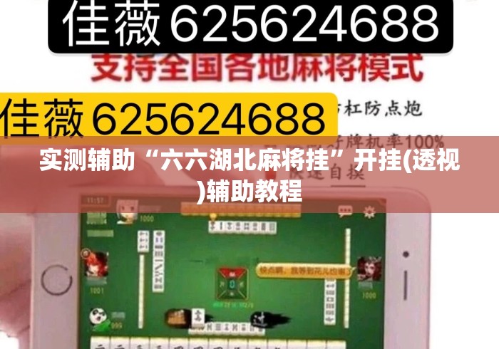 实测辅助“六六湖北麻将挂”开挂(透视)辅助教程