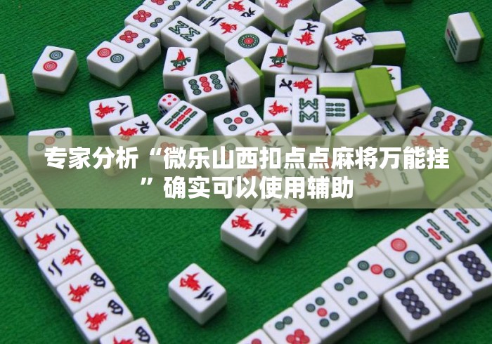 专家分析“微乐山西扣点点麻将万能挂”确实可以使用辅助